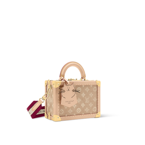 Petite Valise Other Monogram Canvas in Trunks, Travel and Home's Trunks and Boxes Wearable Trunks collections by Louis Vuitton (Product zoom)