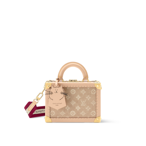 Petite Valise Other Monogram Canvas in Trunks, Travel and Home's Trunks and Boxes Wearable Trunks collections by Louis Vuitton (Product zoom)