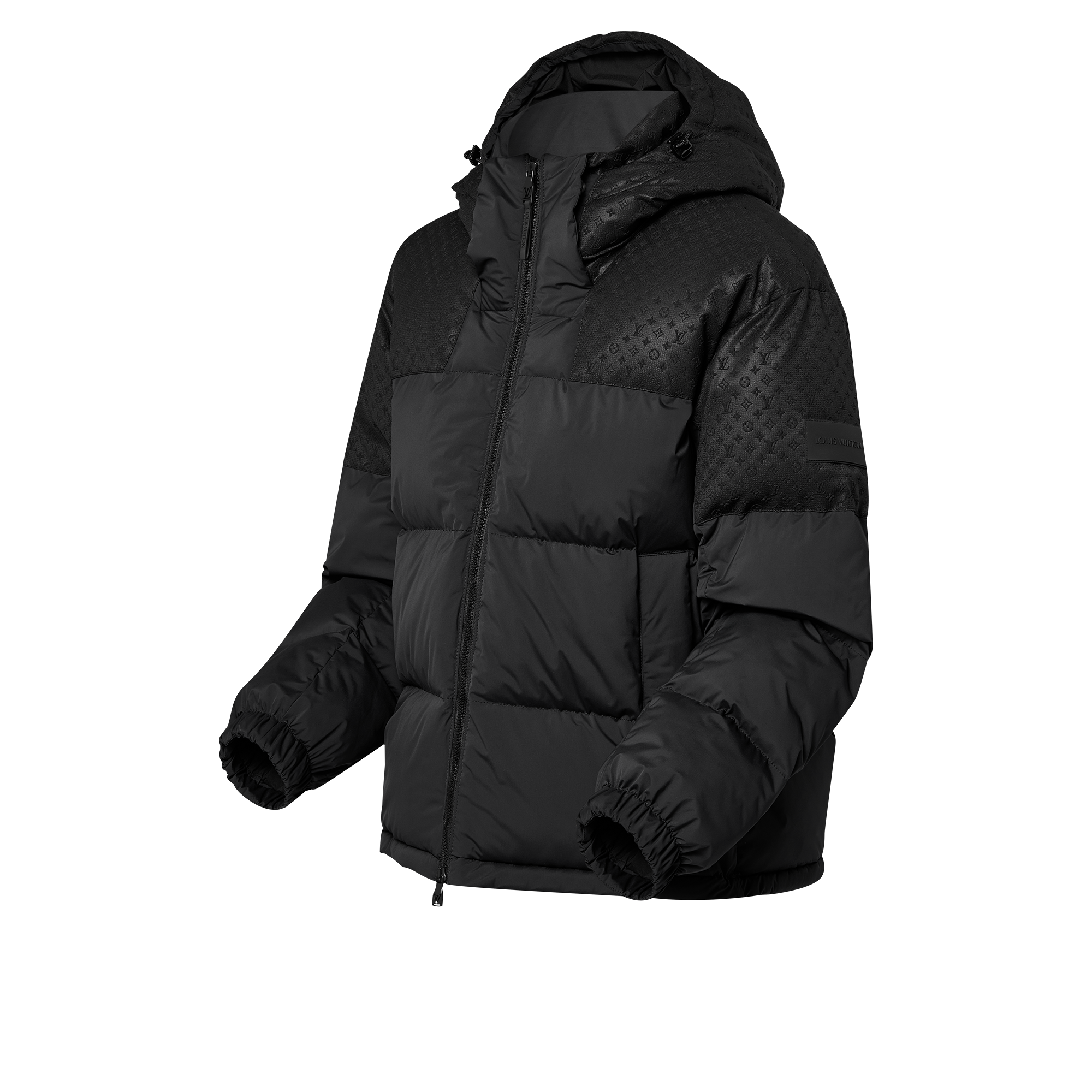 Placed Monogram Ecodown Blouson  in Men