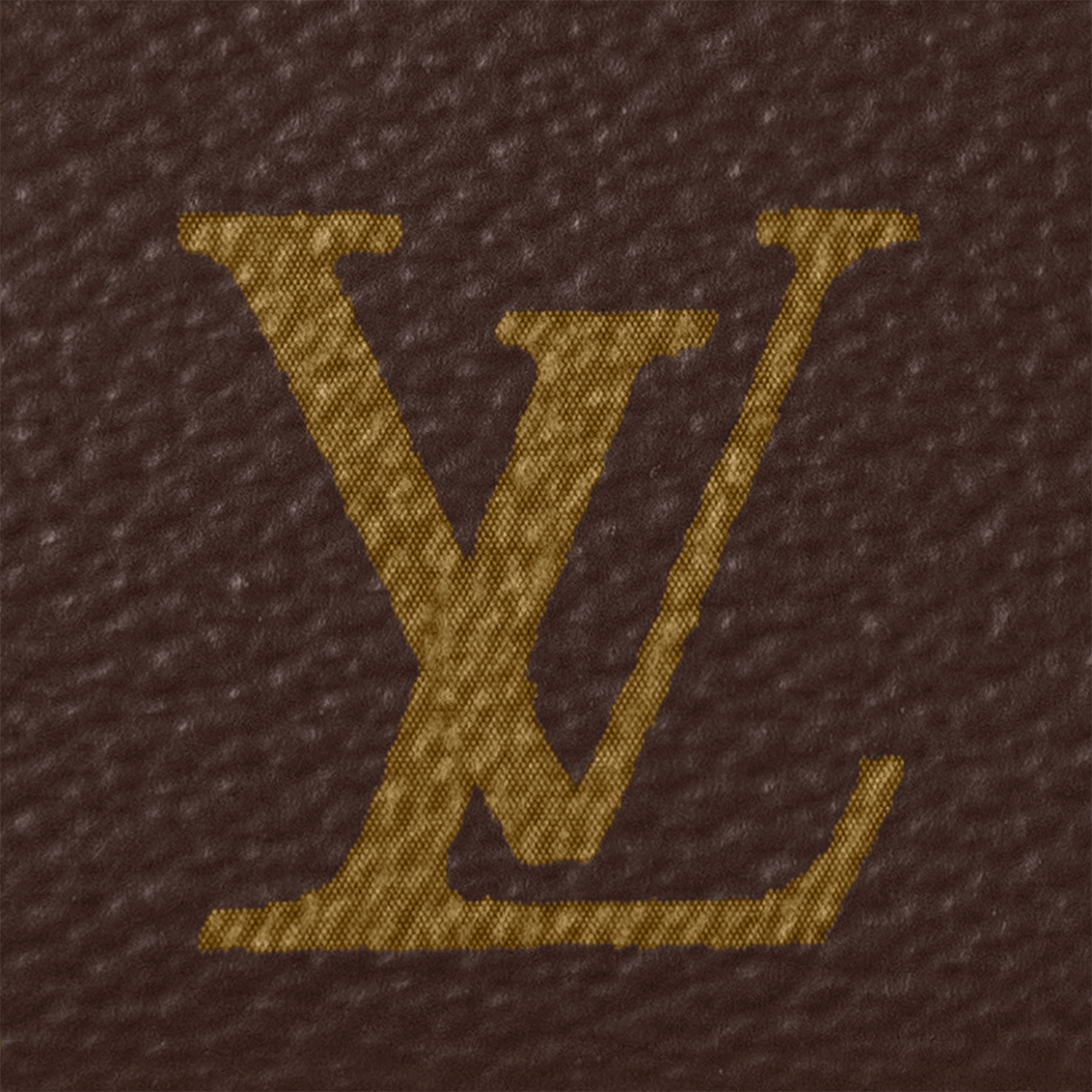 Pochette Accessoires Monogram Canvas in Women