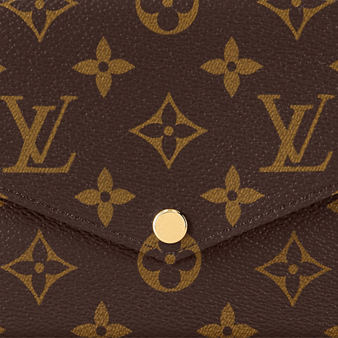 Pochette Félicie Monogram Canvas in Women's Handbags Handbags collections by Louis Vuitton (Product zoom)