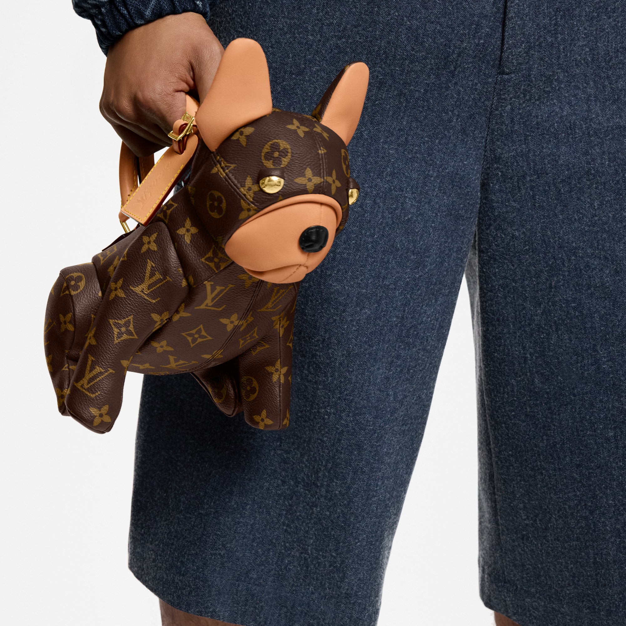 Pooch Bag Monogram Canvas in Men