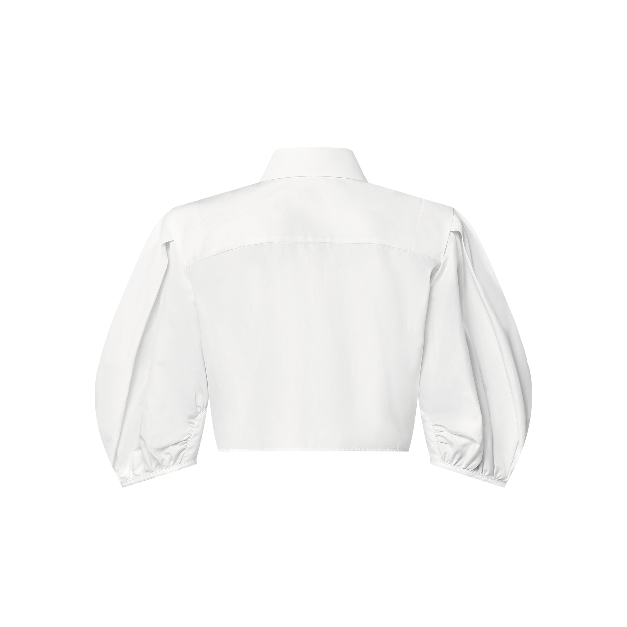 Puff-Sleeve Blouse  in Women
