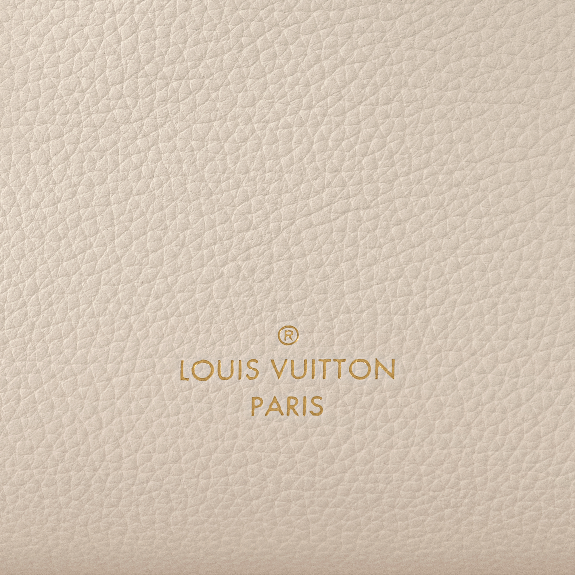 Side Trunk PM Fashion Leather in Women