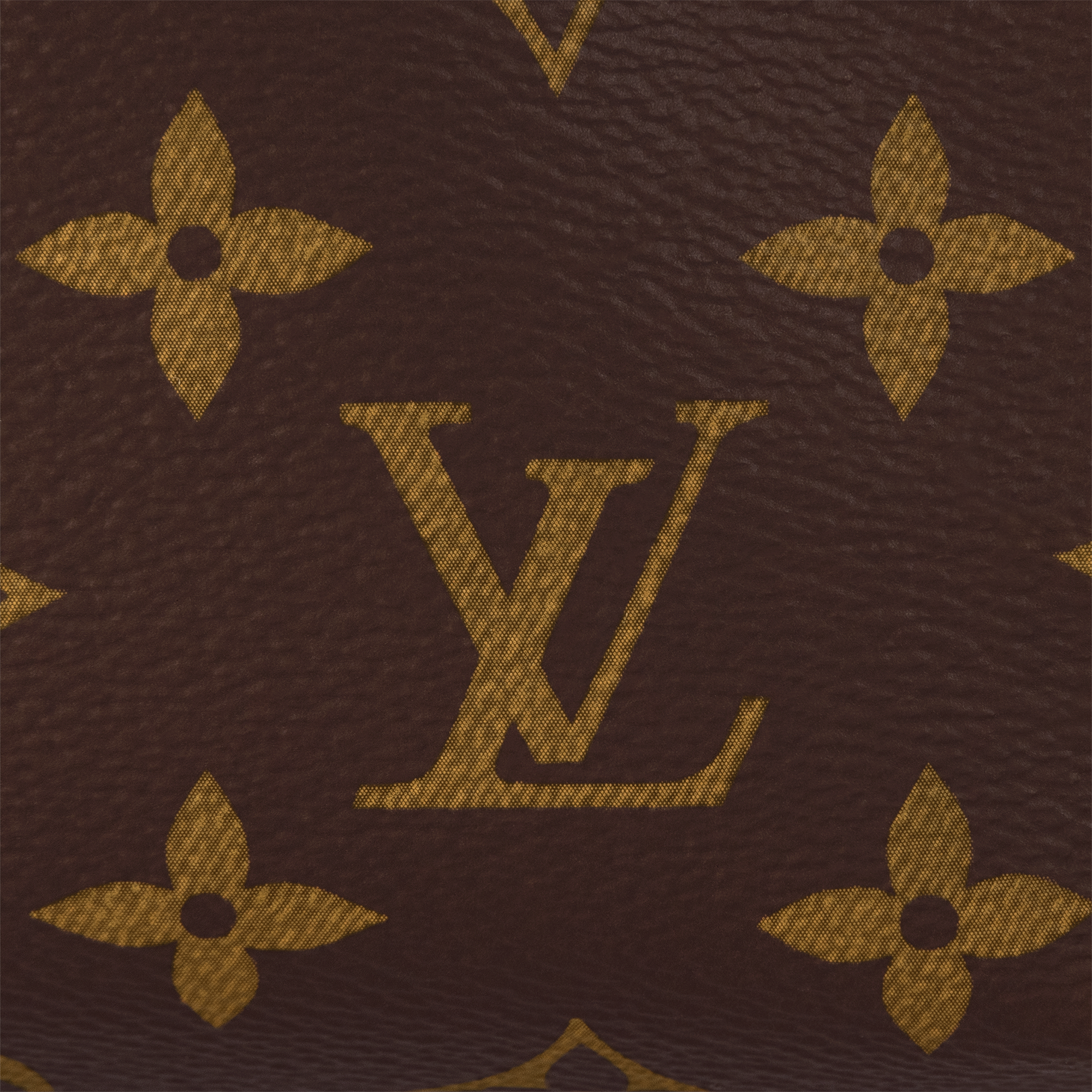 Side Trunk PM Monogram Canvas in Women