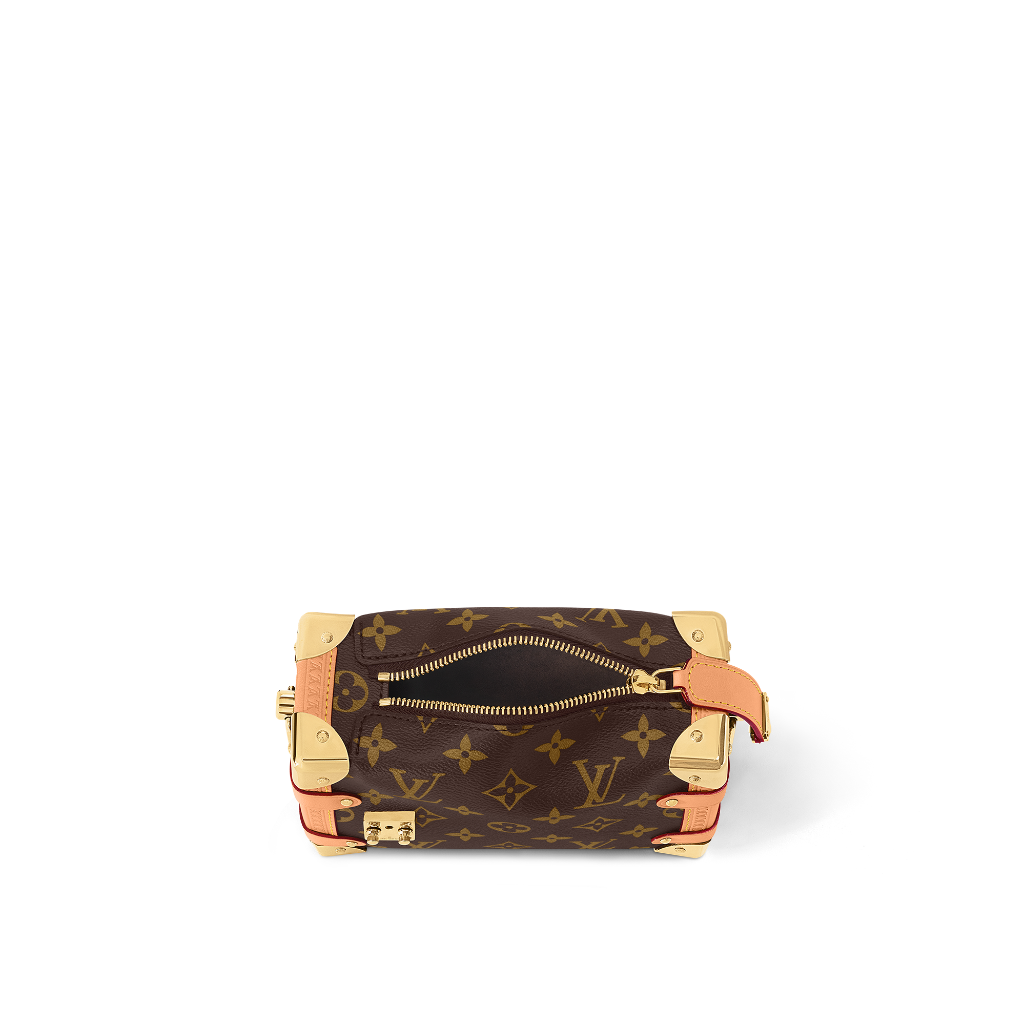 Side Trunk PM Monogram Canvas in Women