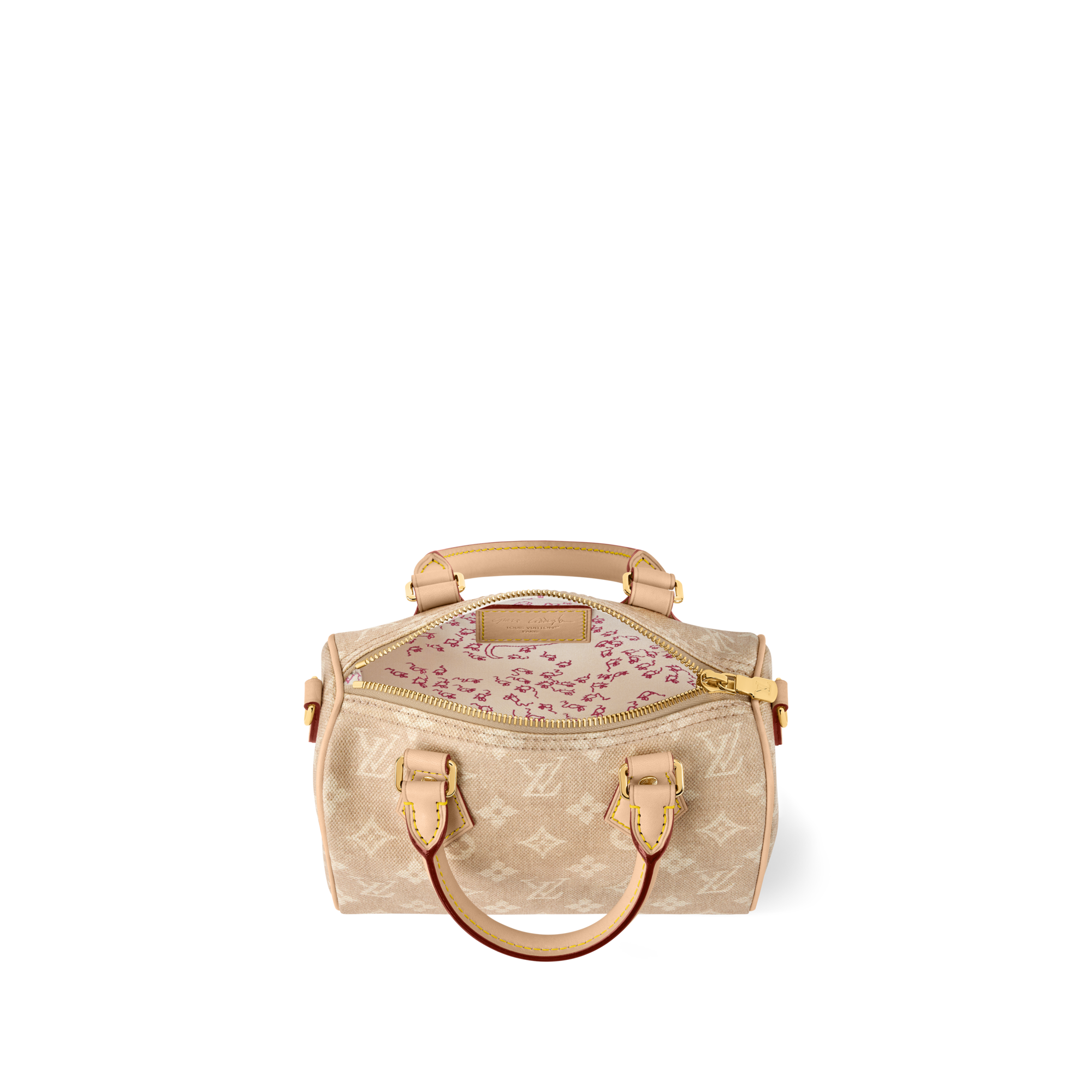 Speedy Bandouliere 20 Other Monogram Canvas in Bags and Small Leather Goods