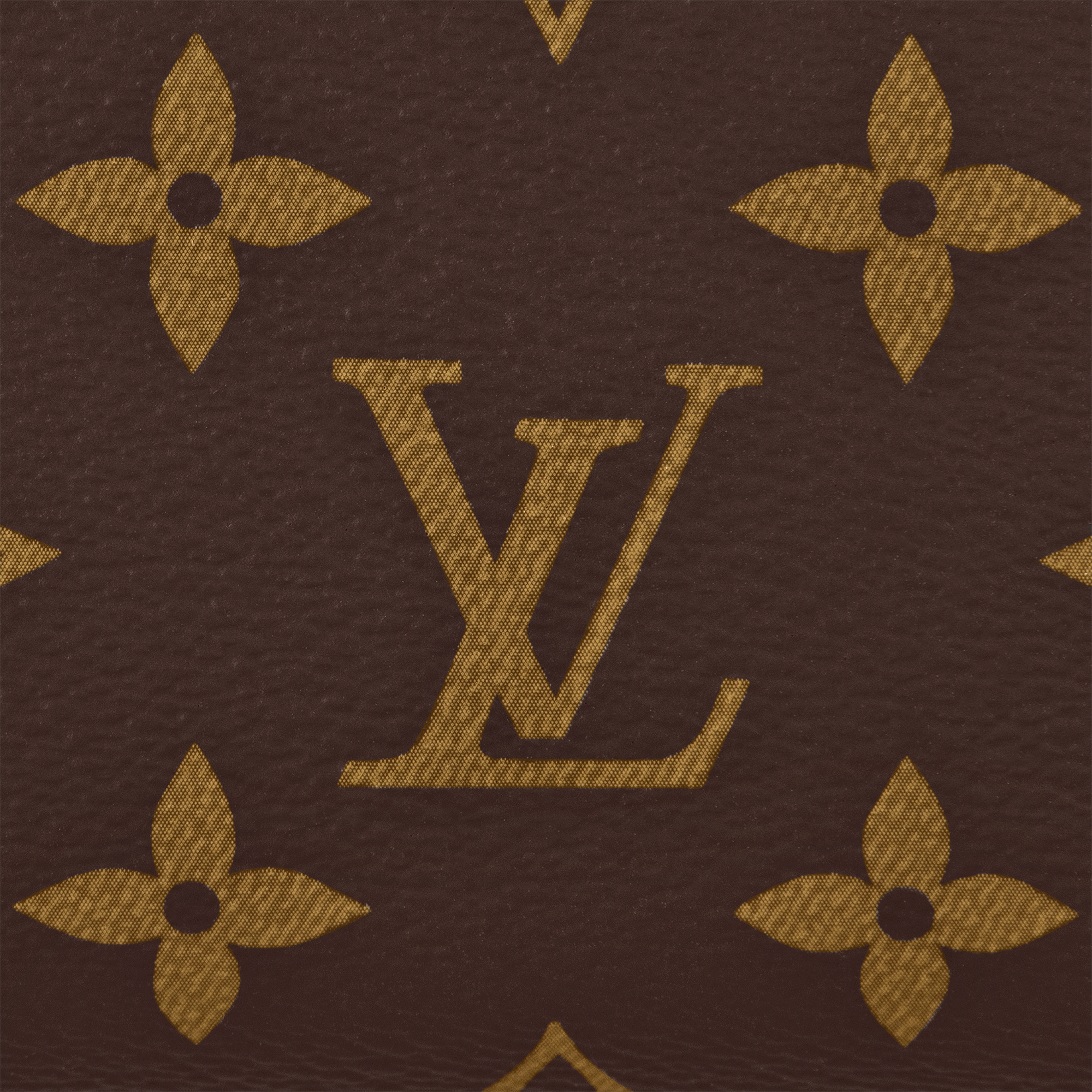 Speedy Bandoulière 20 Bag Monogram Canvas in Women