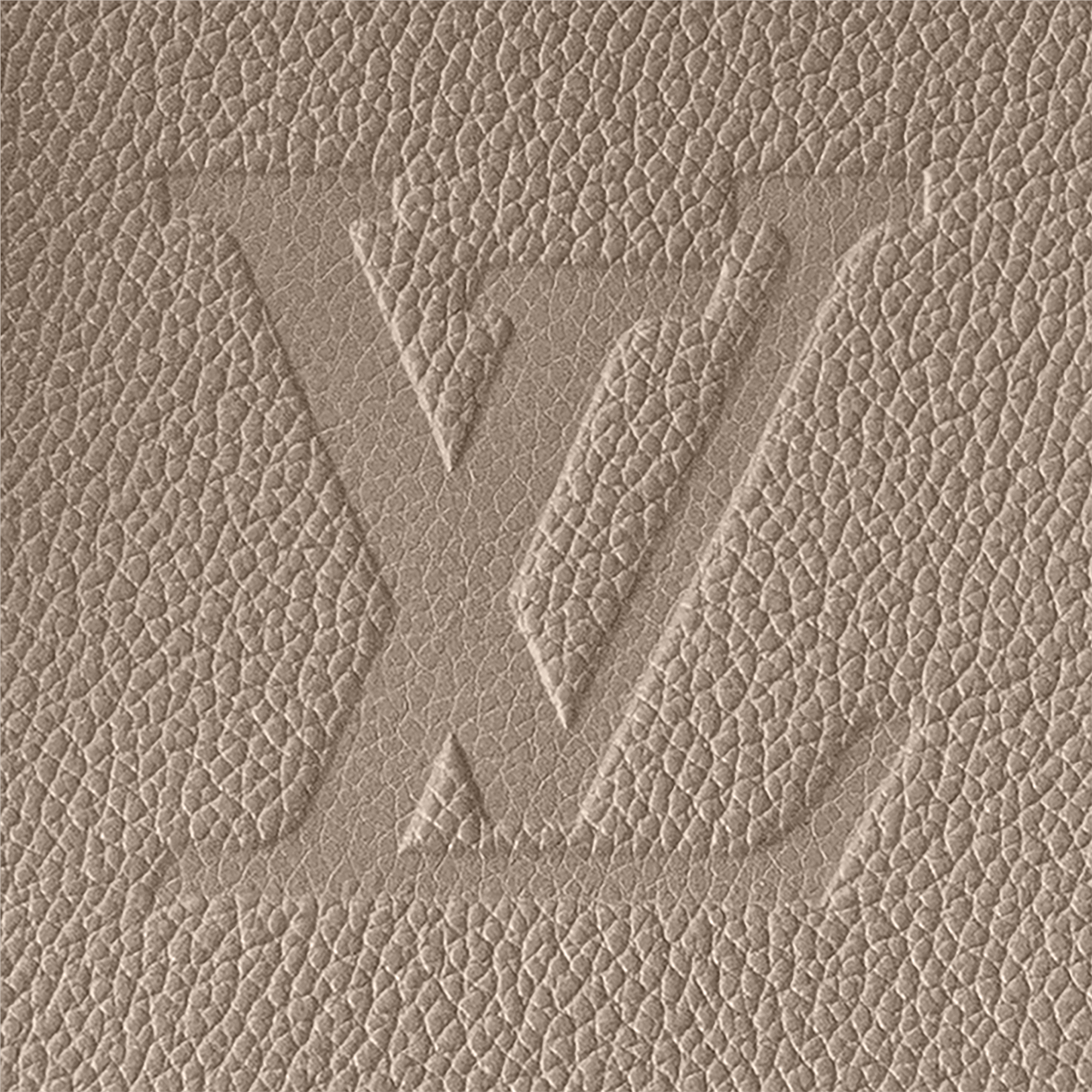 Speedy Bandoulière 25 Bag Monogram Empreinte Leather in Women