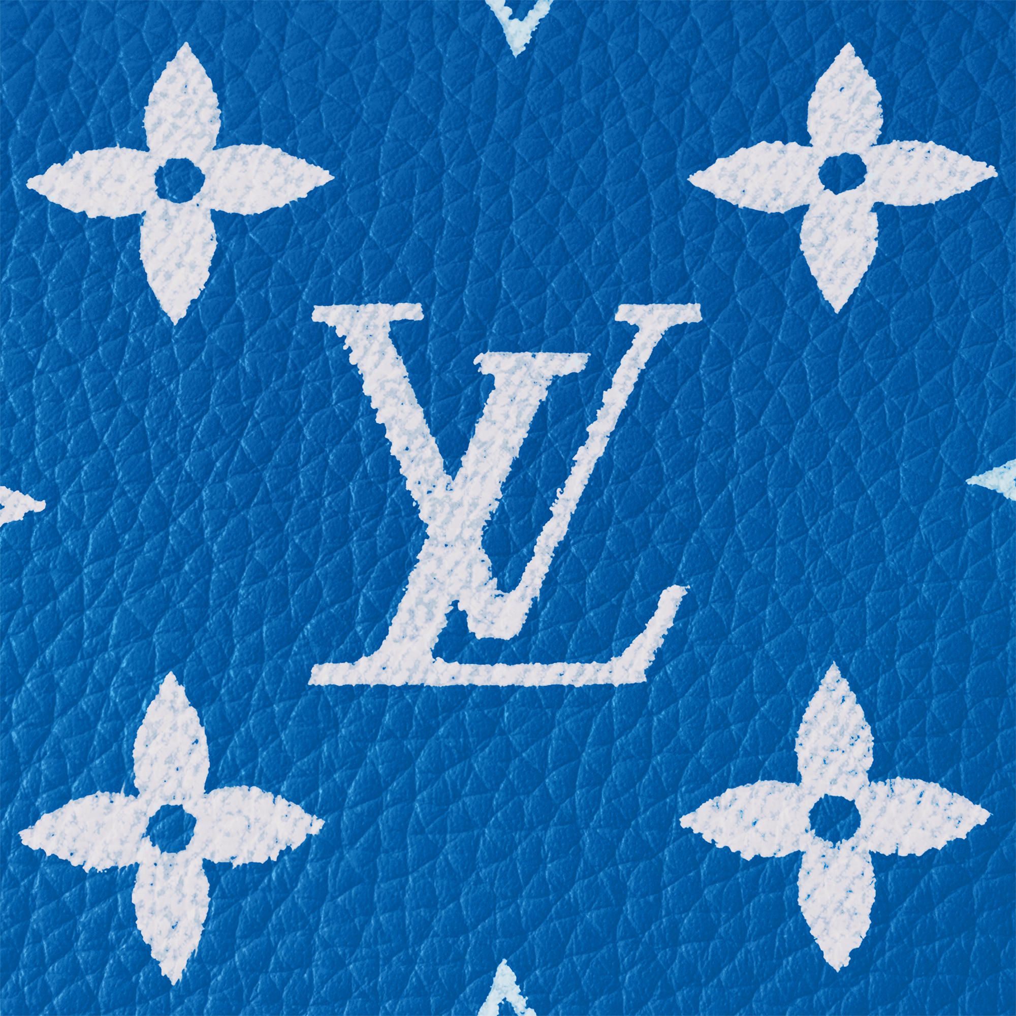 Speedy P9 Bandoulière 25 Autres Cuirs Monogram in Les Extraordinaires