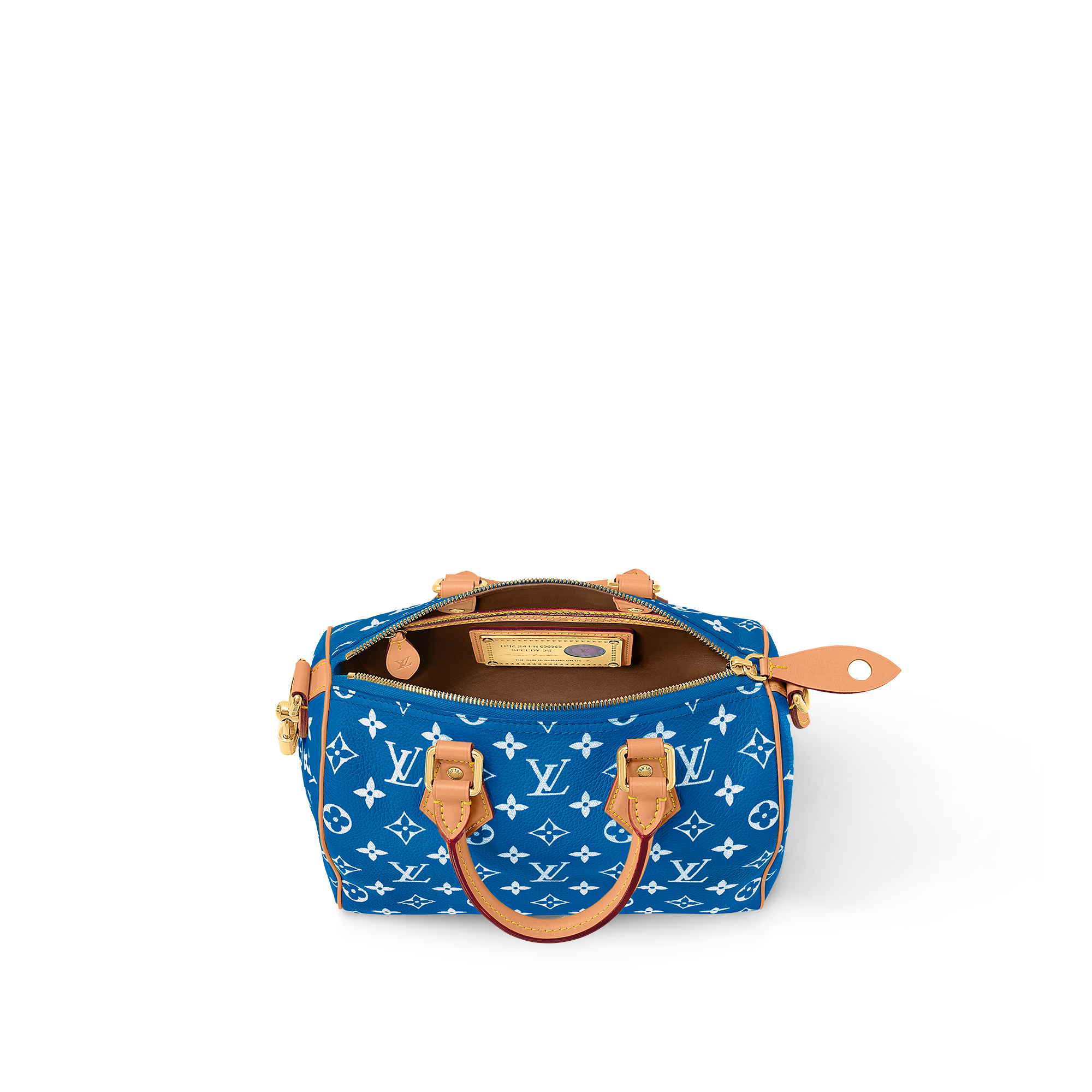Speedy P9 Bandoulière 25 Autres Cuirs Monogram in Les Extraordinaires