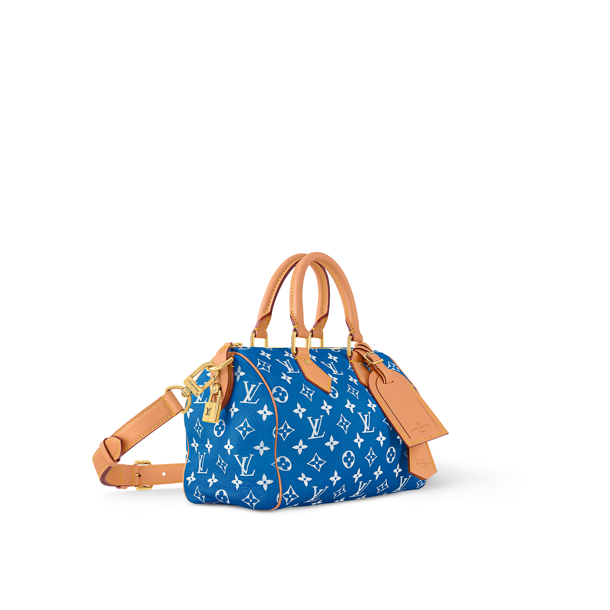 Speedy P9 Bandoulière 25 Autres Cuirs Monogram in Les Extraordinaires