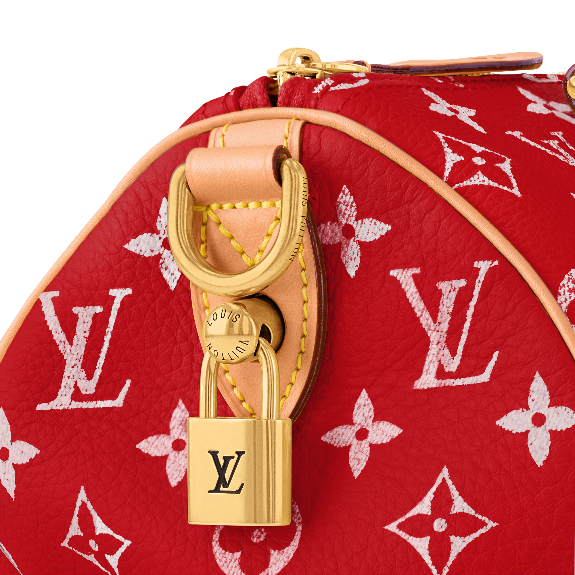 Speedy P9 Bandoulière 25 Autres Cuirs Monogram in Les Extraordinaires