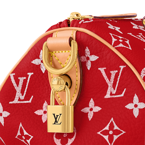 Speedy P9 Bandoulière 25 H40 in Les Extraordinaires's Leather Goods and Travel Speedy P9 collections by Louis Vuitton (Product zoom)