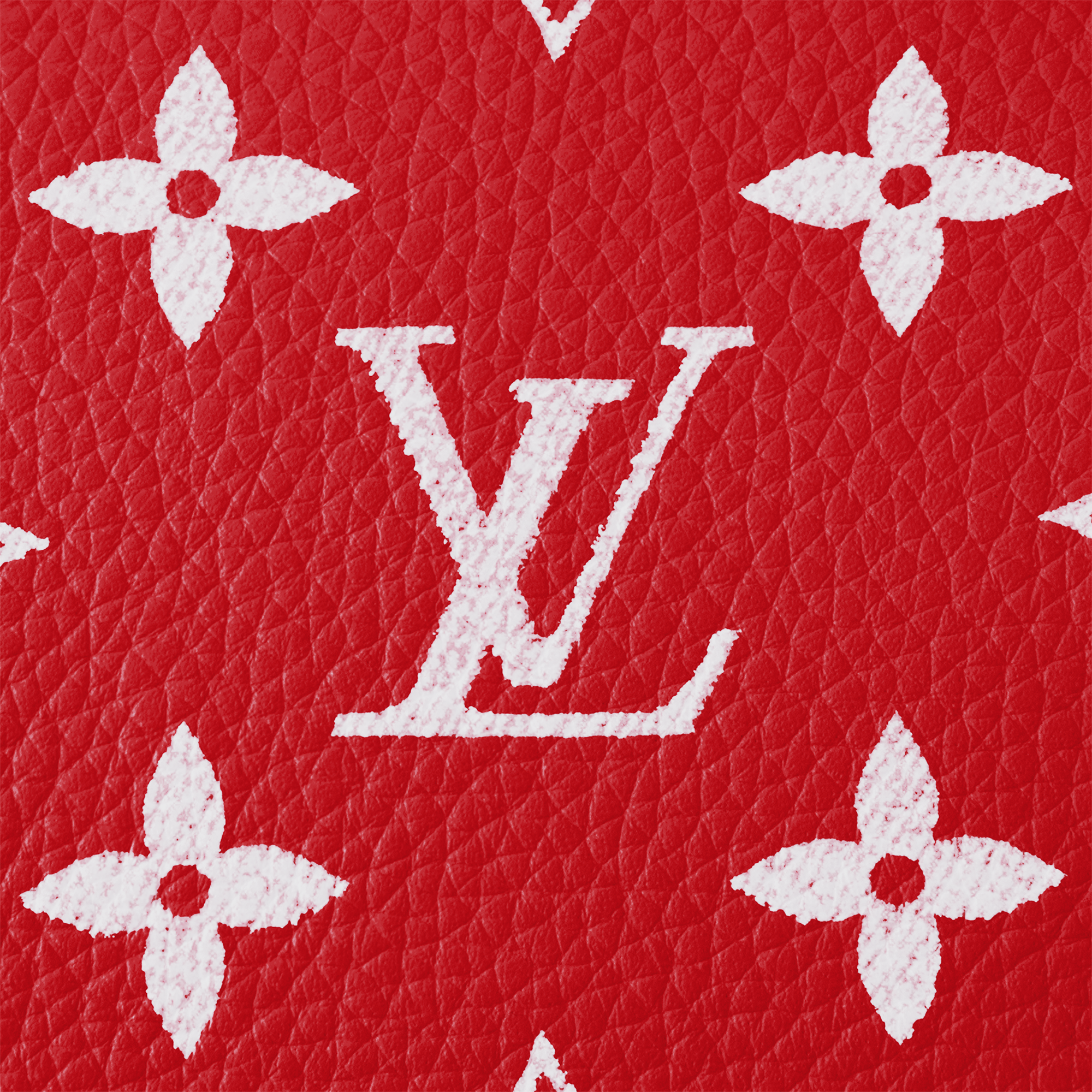 Speedy P9 Bandoulière 25 Autres Cuirs Monogram in Les Extraordinaires
