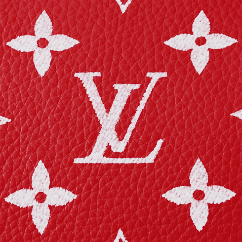 Speedy P9 Bandoulière 25 H40 in Les Extraordinaires's Leather Goods and Travel Speedy P9 collections by Louis Vuitton (Product zoom)