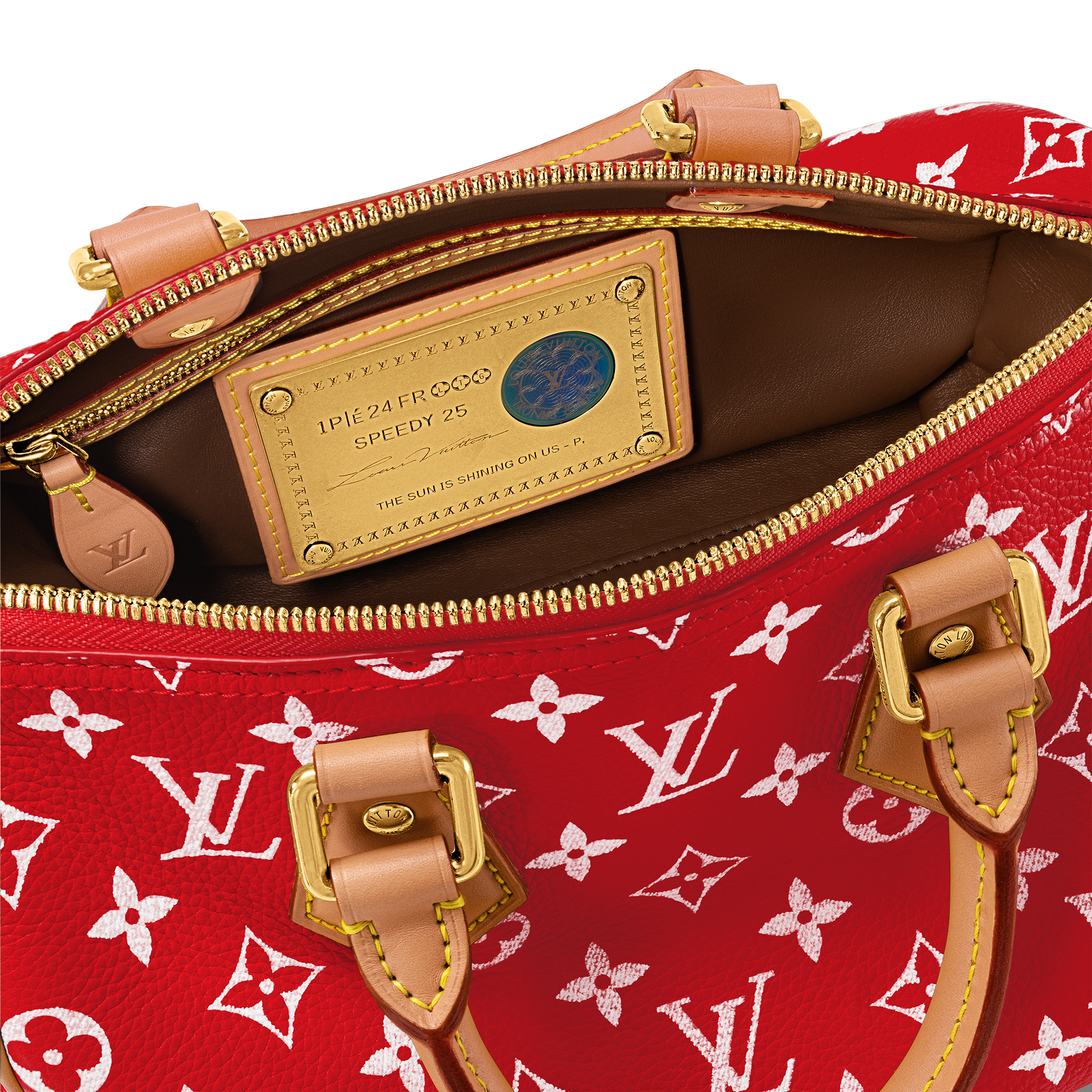 Speedy P9 Bandoulière 25 Autres Cuirs Monogram in Les Extraordinaires