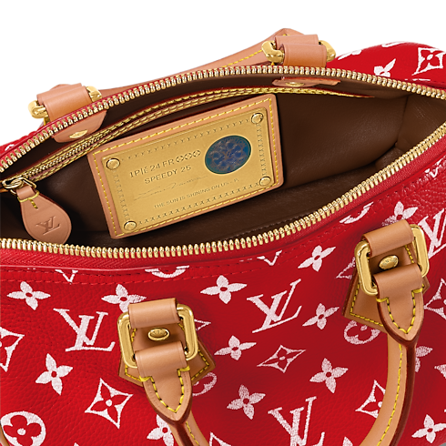 Speedy P9 Bandoulière 25 H40 in Les Extraordinaires's Leather Goods and Travel Speedy P9 collections by Louis Vuitton (Product zoom)