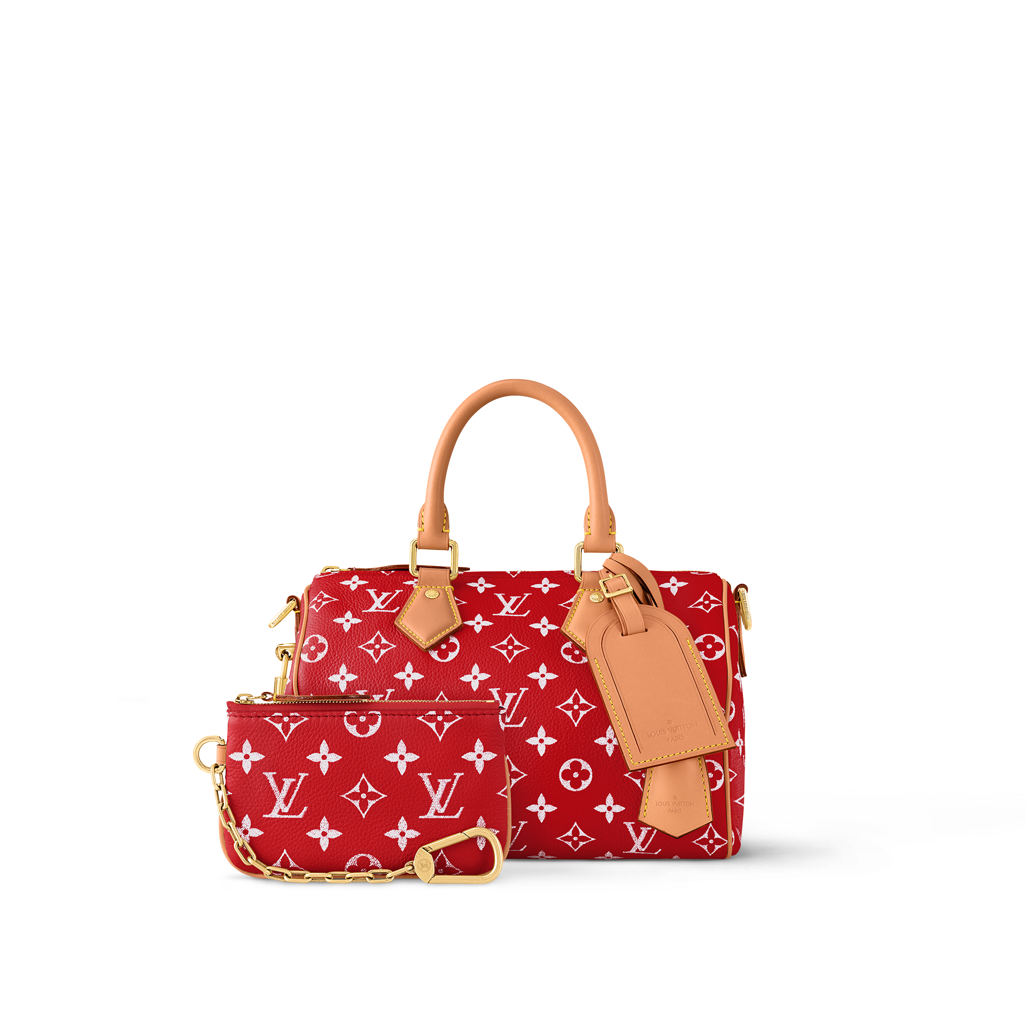 Speedy P9 Bandoulière 25 Autres Cuirs Monogram in Les Extraordinaires