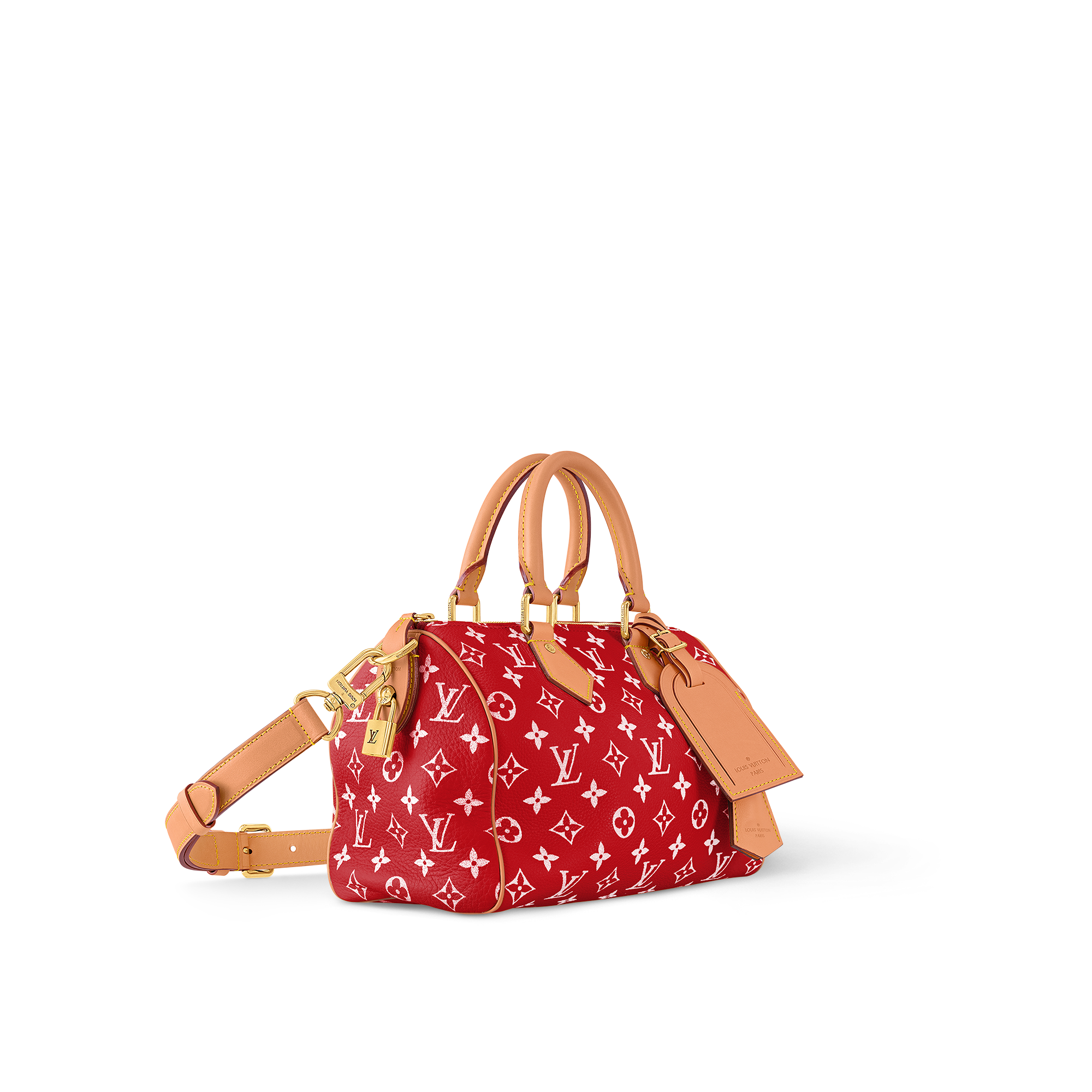 Speedy P9 Bandoulière 25 Autres Cuirs Monogram in Les Extraordinaires