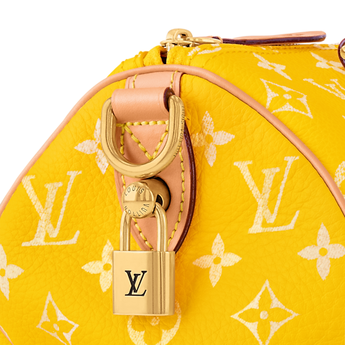 Speedy P9 Bandoulière 25 H40 in Les Extraordinaires's Leather Goods and Travel Speedy P9 collections by Louis Vuitton (Product zoom)