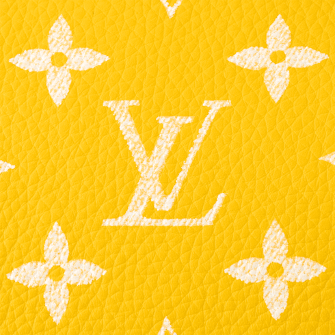 Speedy P9 Bandoulière 25 H40 in Les Extraordinaires's Leather Goods and Travel Speedy P9 collections by Louis Vuitton (Product zoom)
