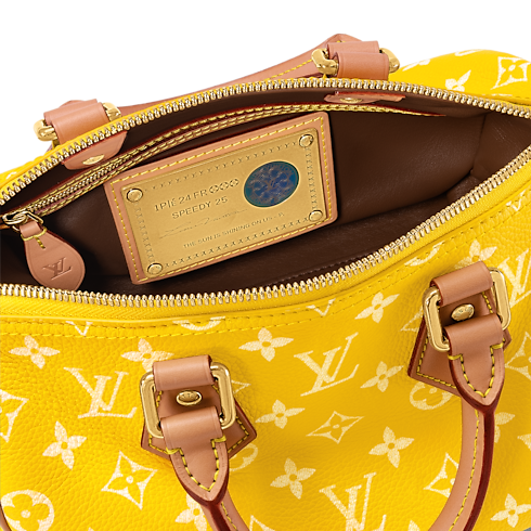 Speedy P9 Bandoulière 25 H40 in Les Extraordinaires's Leather Goods and Travel Speedy P9 collections by Louis Vuitton (Product zoom)