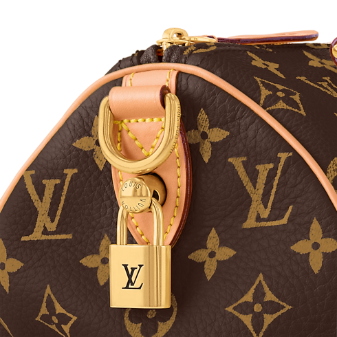 Speedy P9 Bandoulière 25 H40 in Les Extraordinaires's Leather Goods and Travel Speedy P9 collections by Louis Vuitton (Product zoom)