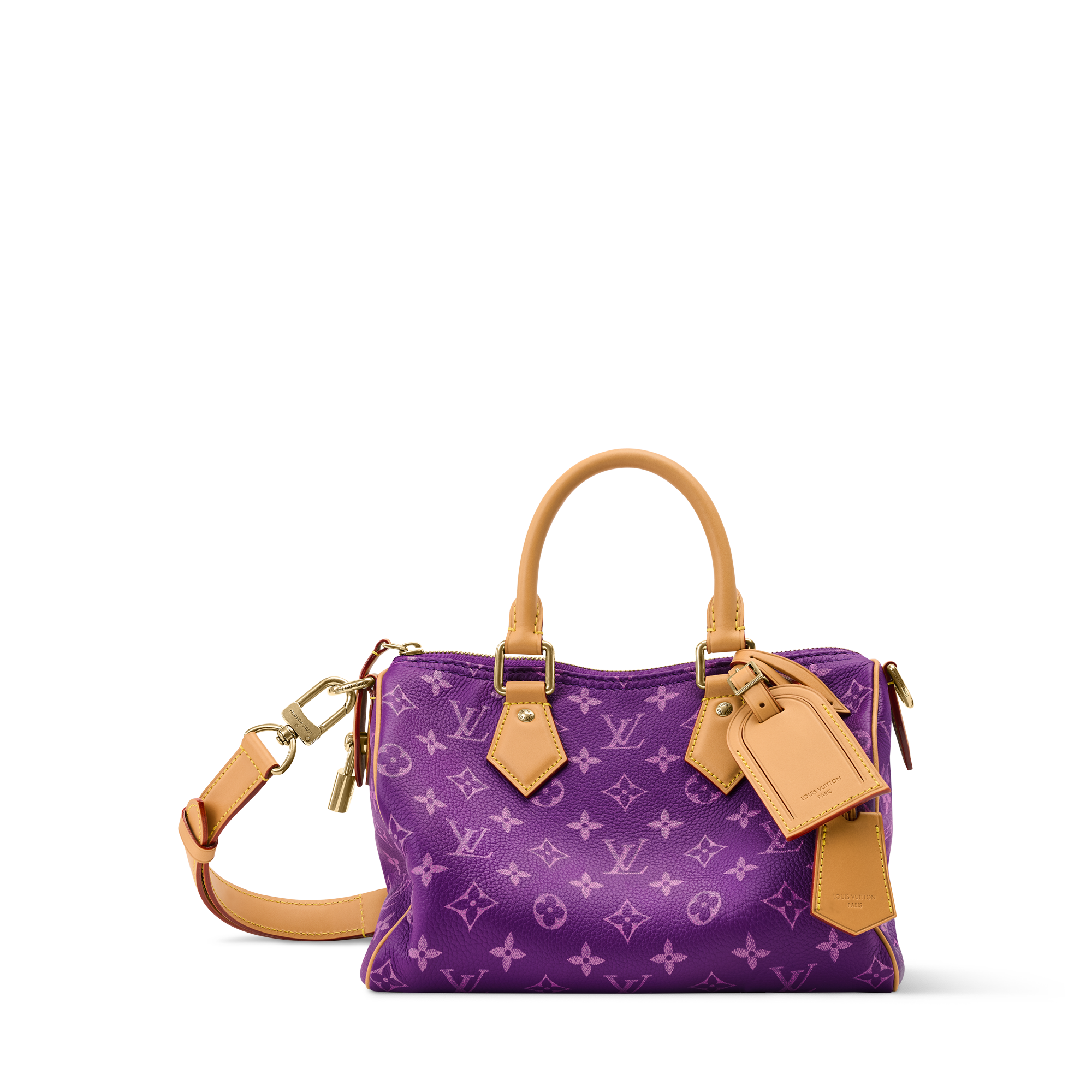 LOUIS VUITTON ルイ ヴィトン M56698 エレジー 2way トートバッグ 