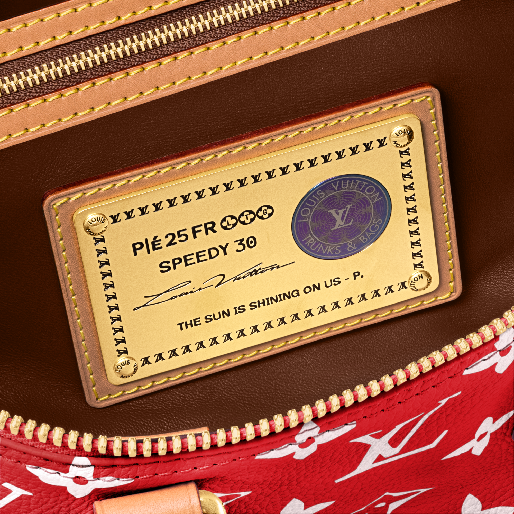 Speedy P9 Bandoulière 30 Autres Cuirs Monogram in Les Extraordinaires