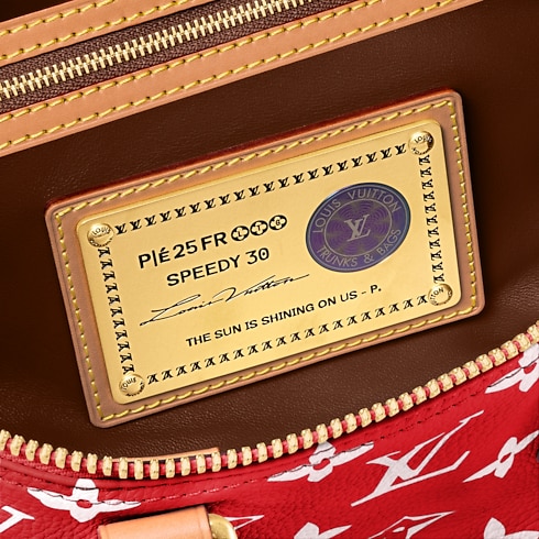 Speedy P9 Bandoulière 30 H40 in Les Extraordinaires's Leather Goods and Travel Speedy P9 collections by Louis Vuitton (Product zoom)