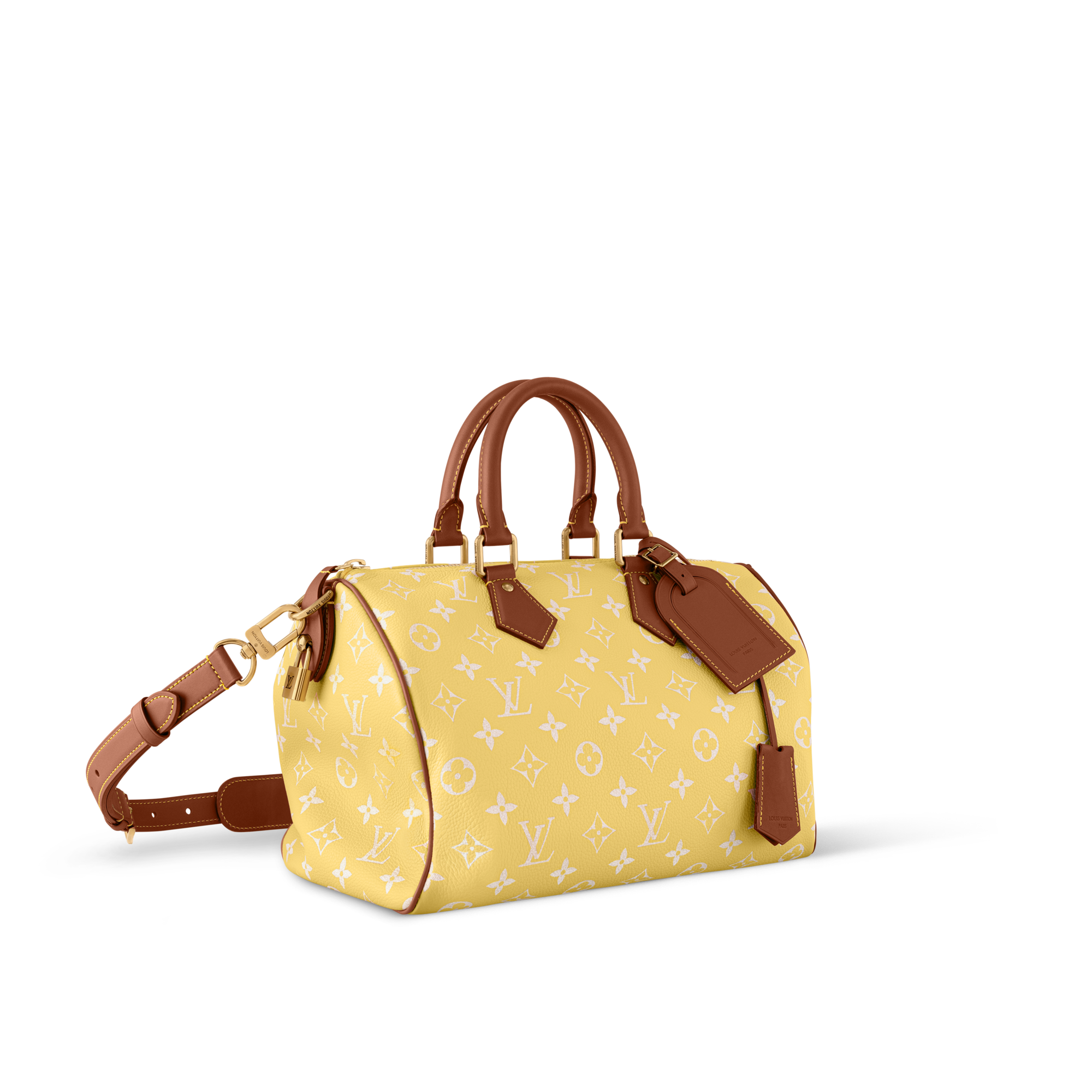 Speedy P9 Bandoulière 30 Autres Cuirs Monogram in Les Extraordinaires