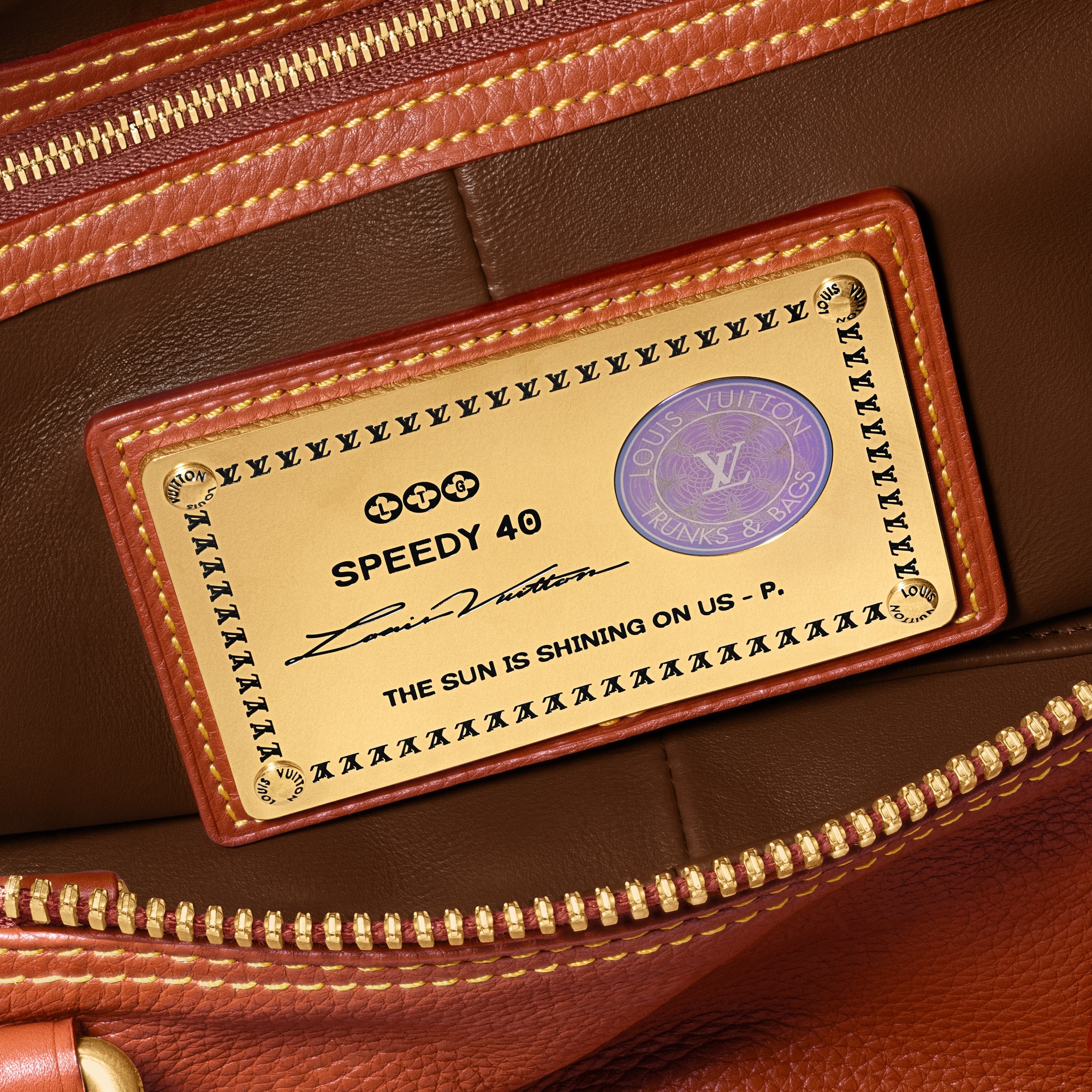 Speedy P9 Bandoulière 40 Other Leathers in Les Extraordinaires