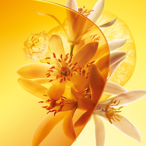 Sun Song in Perfumes and Beauty 's Collections Men’s Perfumes collections by Louis Vuitton (Product zoom)