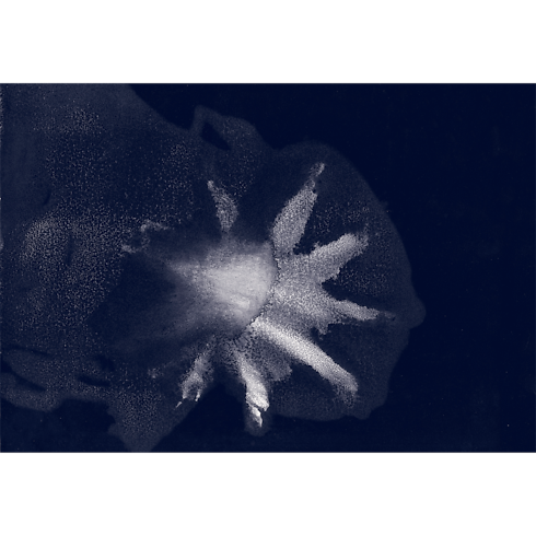 Travel Book Mediterranean Sea Collector Edition in Trunks, Travel and Home's Library Travel Book collections by Louis Vuitton (Product zoom)