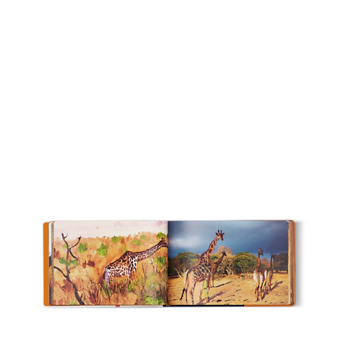 Travel Book South Africa in Trunks, Travel and Home's Library Travel Book collections by Louis Vuitton (Product zoom)