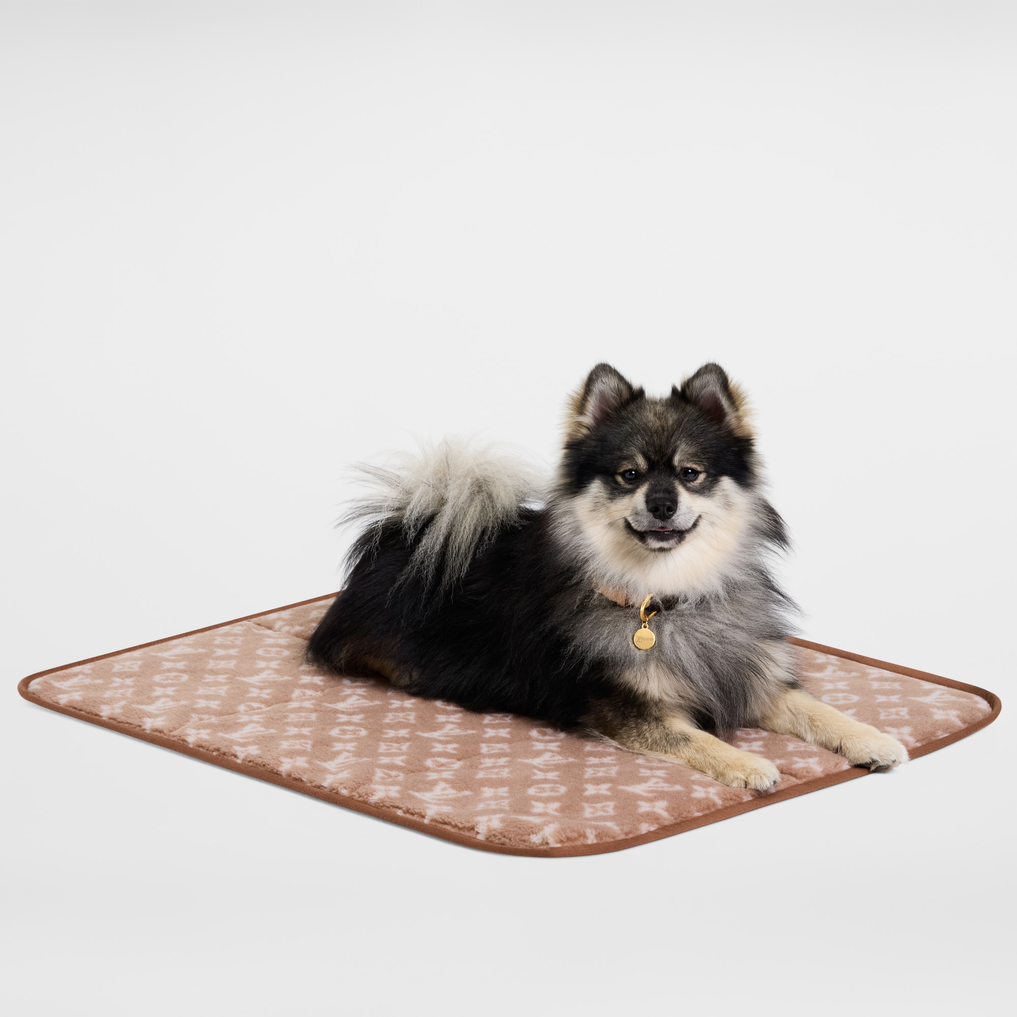 Travel Dog Carpet S00 in Trunks, Travel and Home