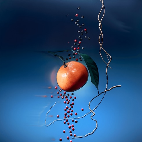 Travel Spray Météore in Perfumes and Beauty 's Collections Men’s Perfumes collections by Louis Vuitton (Product zoom)