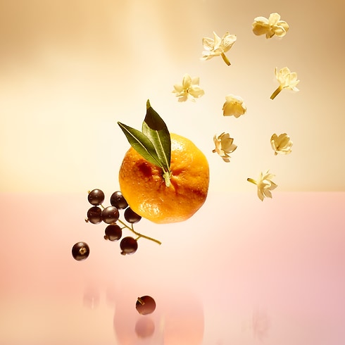 Travel Spray Refill Le Jour Se Lève in Perfumes and Beauty 's Collections Travel collections by Louis Vuitton (Product zoom)