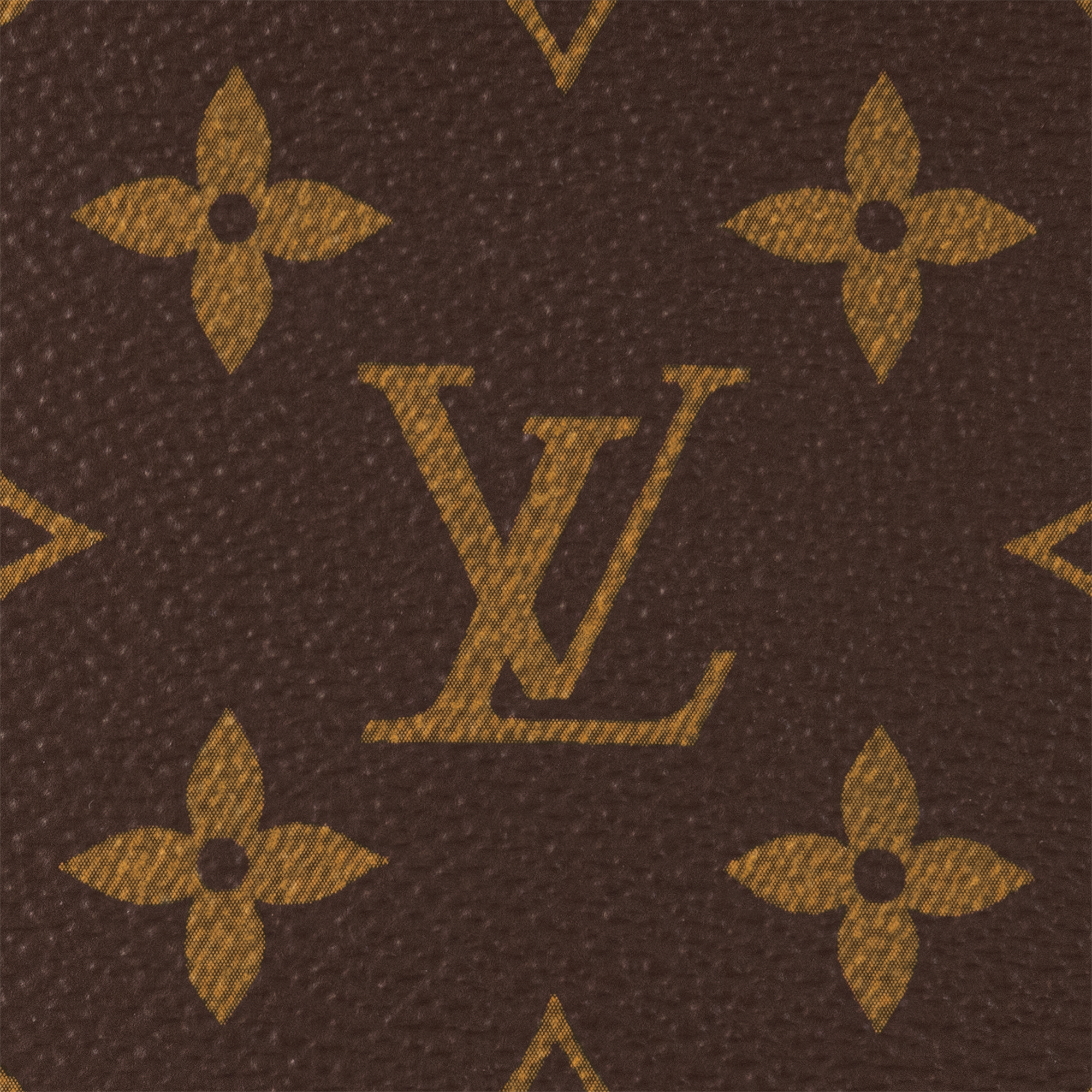 Vivacité Monogram Canvas in Women