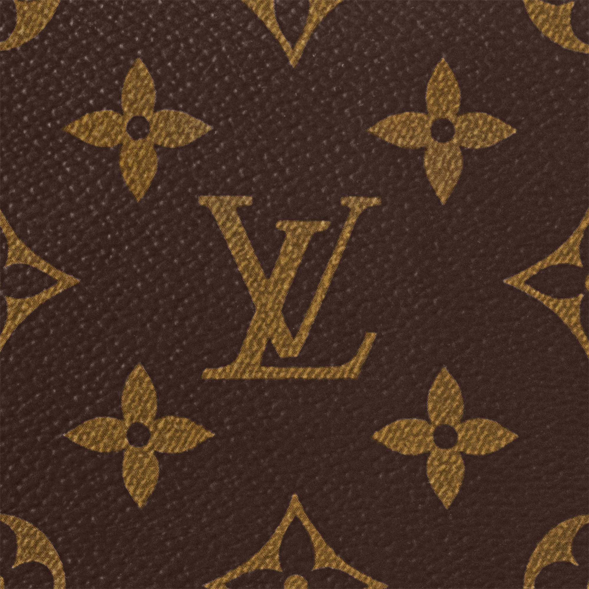 Zippy Organiser Monogram Canvas in Super Lucky Day