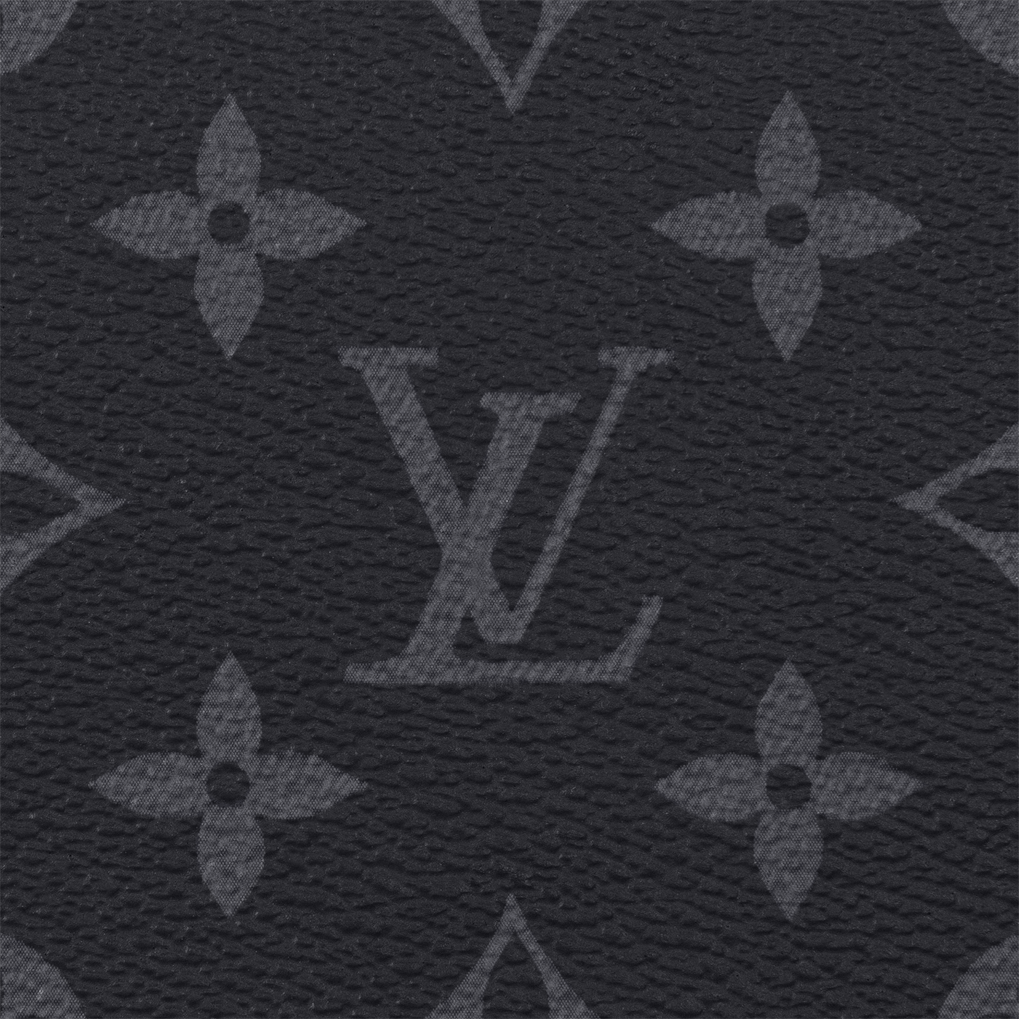 Zippy Organiser Monogram Eclipse in Super Lucky Day
