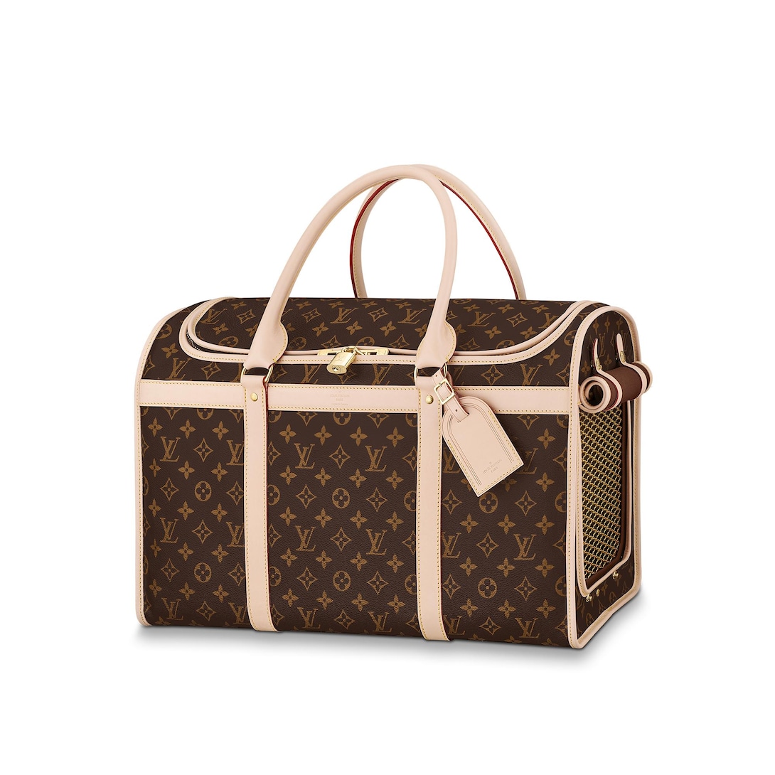 lv dog bag