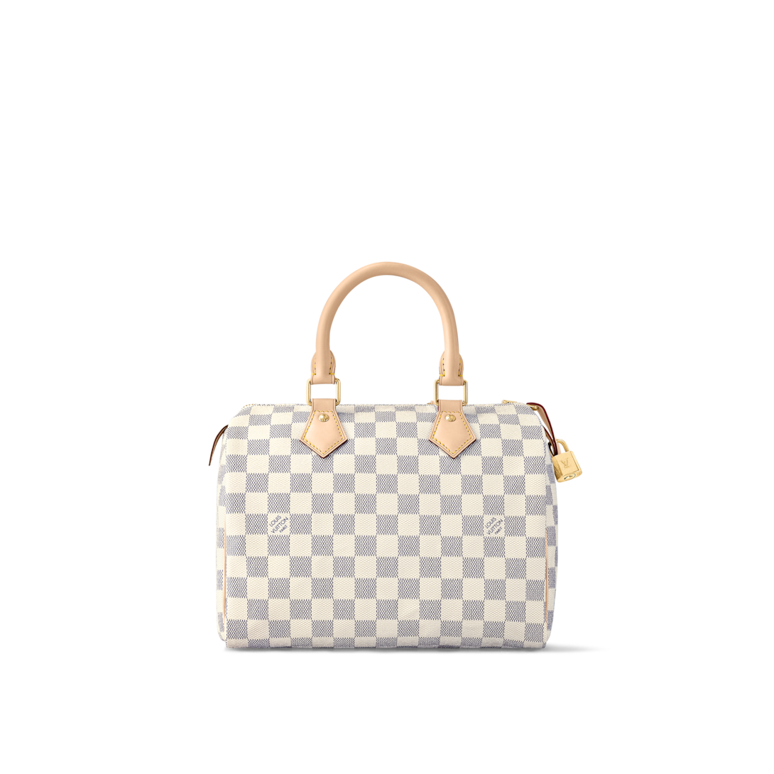 lv speedy white damier